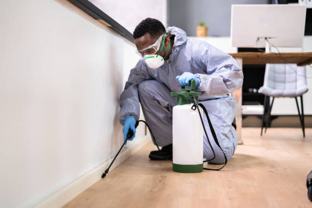 Best Pest Prevention Services  in Ellerslie, GA